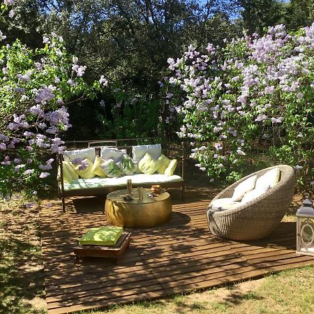 Longo Mai Bed & Breakfast Sillans-la Cascade Luaran gambar