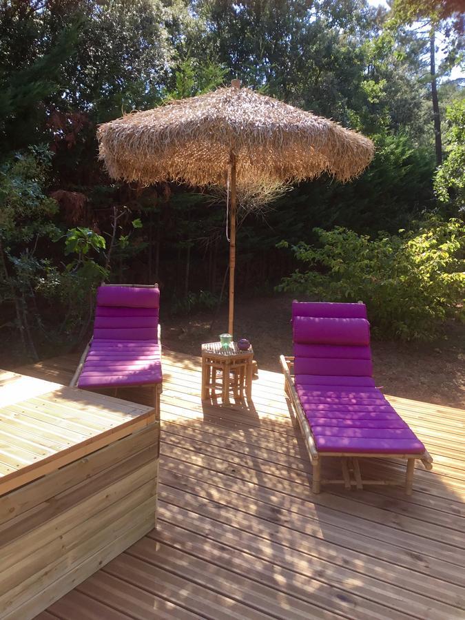 Longo Mai Bed & Breakfast Sillans-la Cascade Luaran gambar